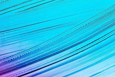 种田游戏《梦幻谷Everdream Valley》预购开启 5月31日发售